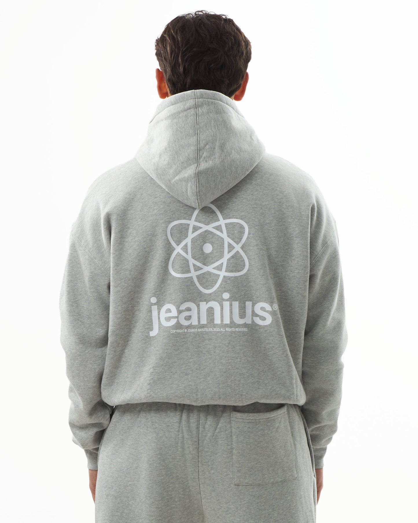 TEAM JEANIUS ZIP UP HOODIE GREY