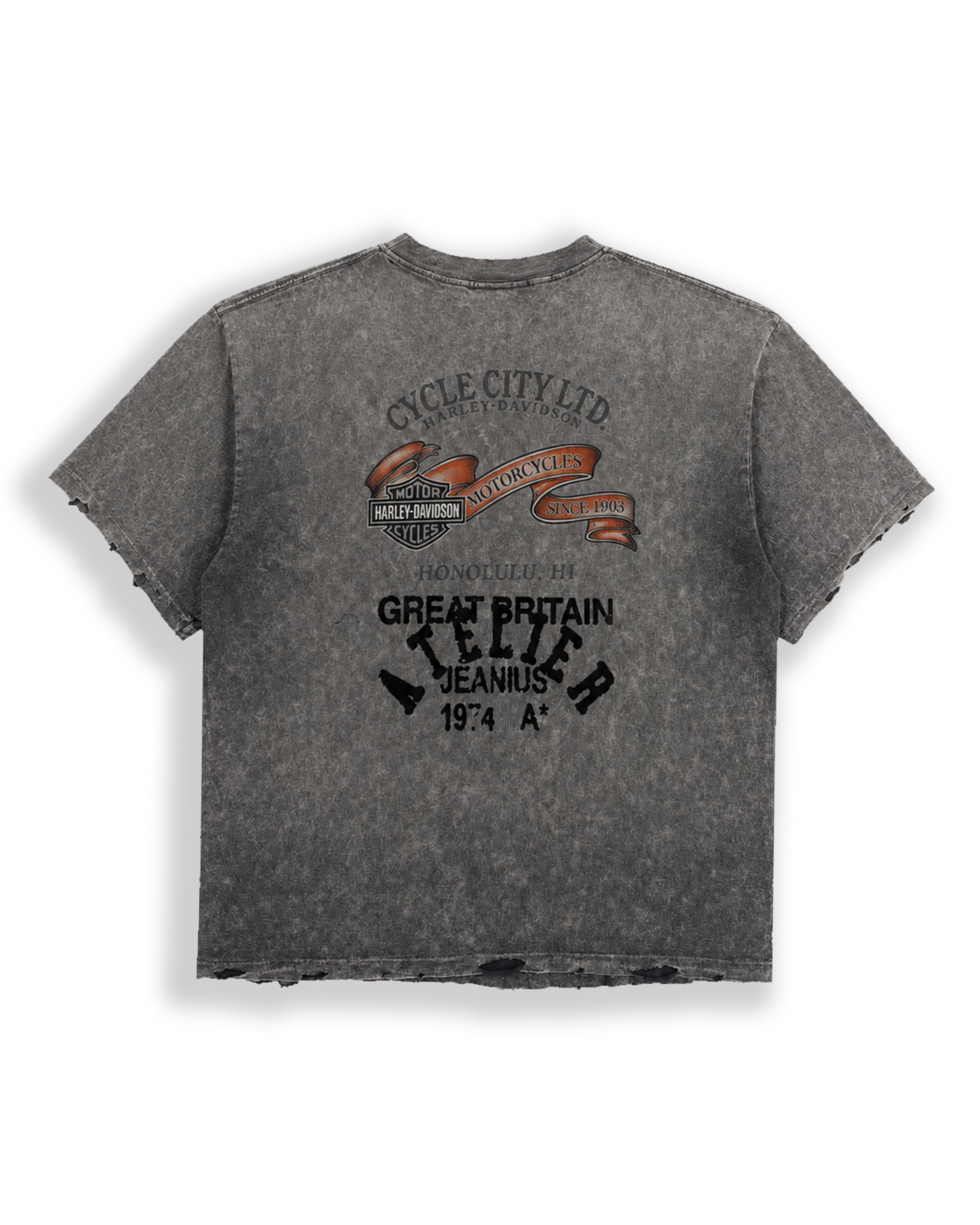 ONE OF ONE HARLEY DAVIDSON CYCLE CITY T-SHIRT - Acid Grey back