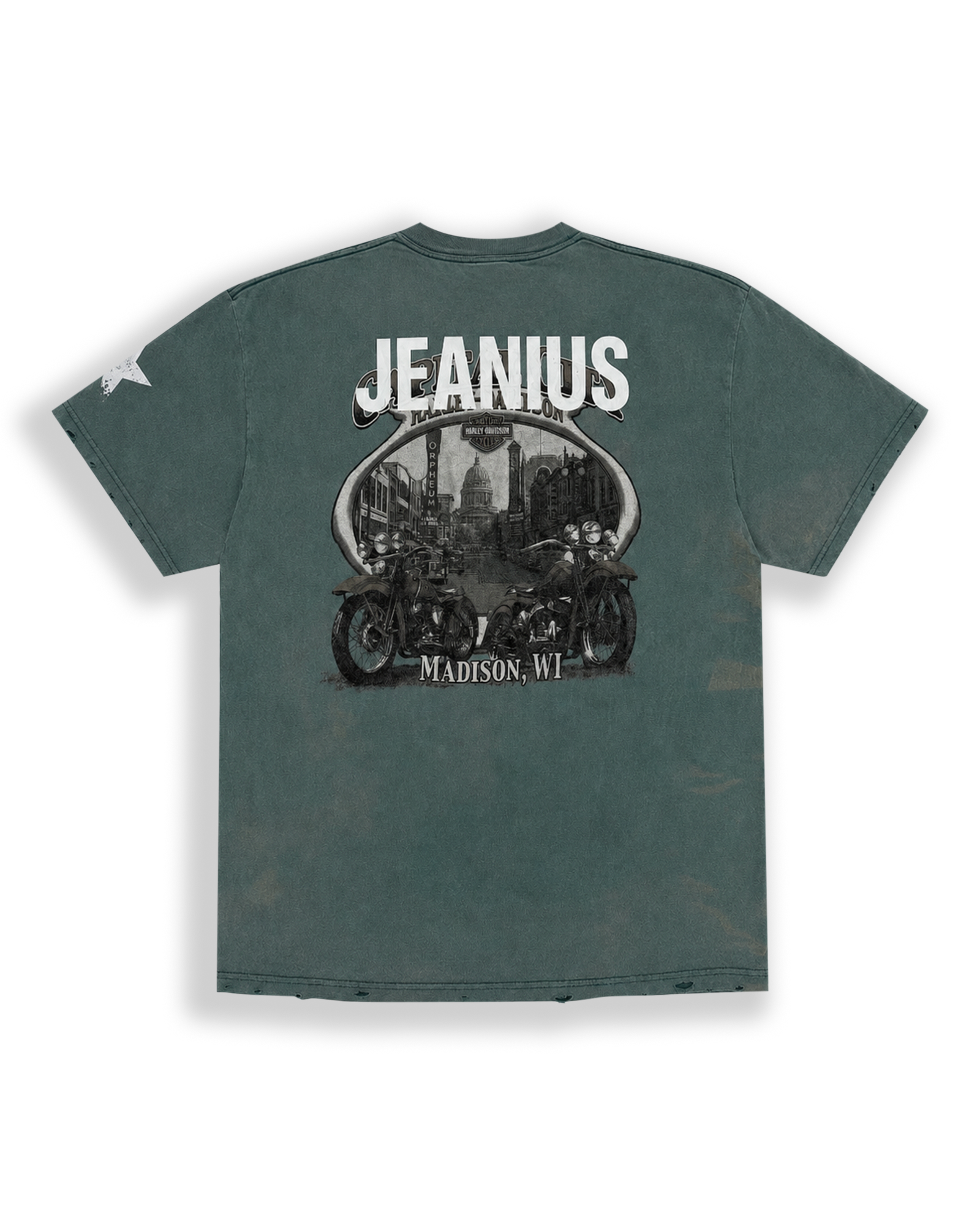 ONE OF ONE HARLEY DAVIDSON MADISON T-SHIRT - Washed Teal back